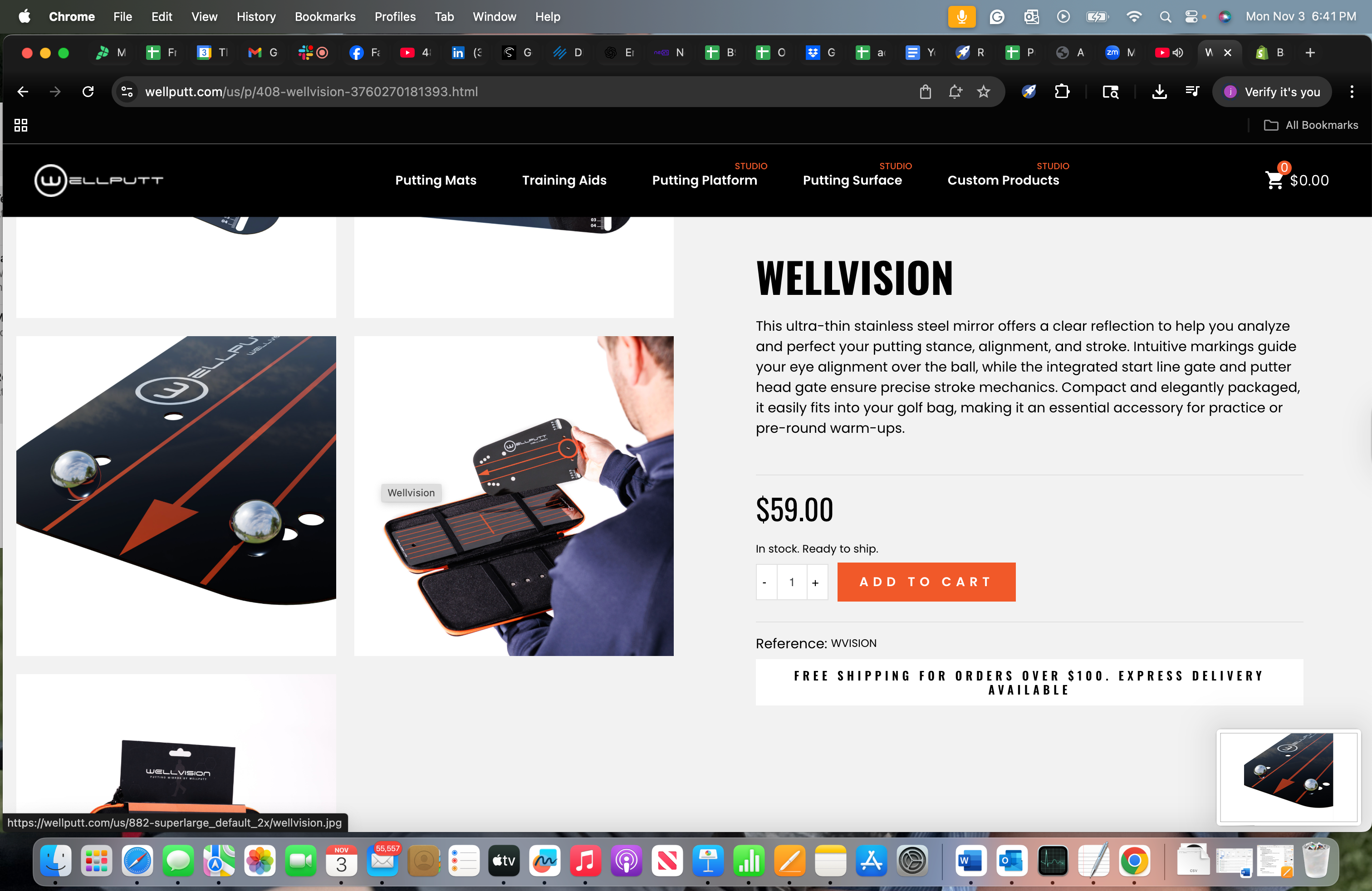 Wellvision