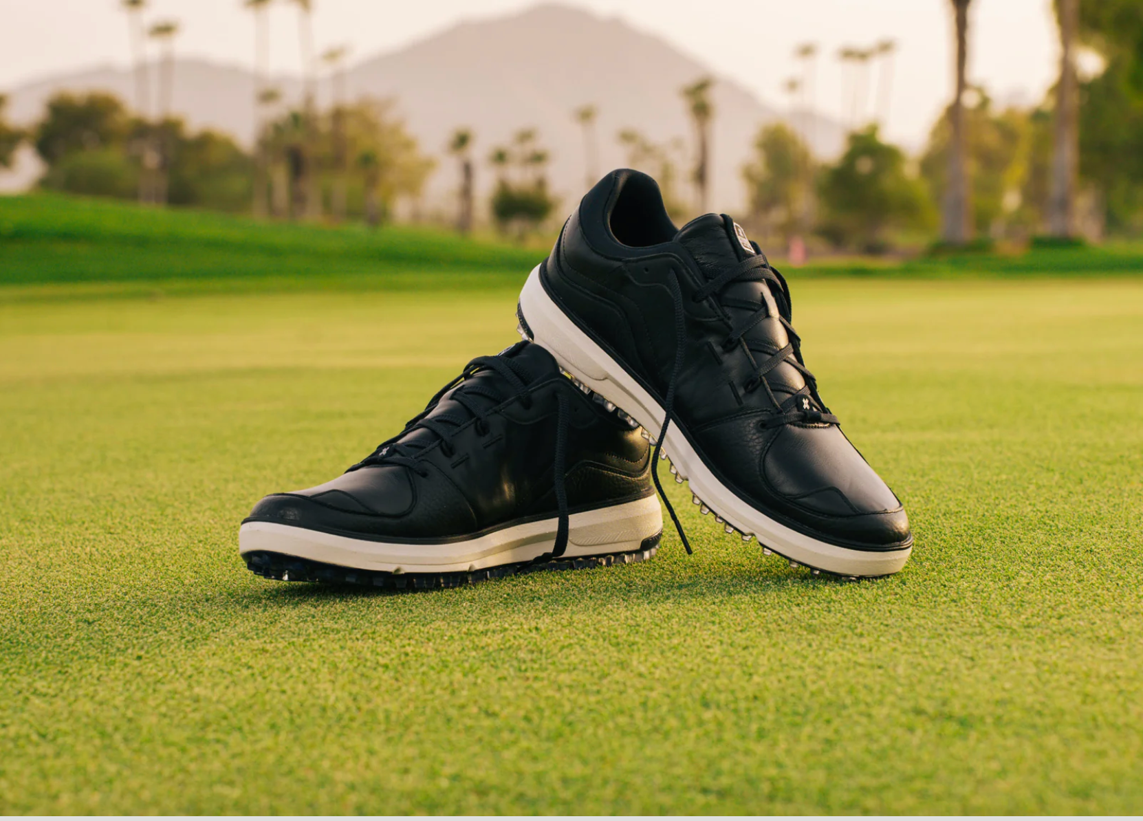 PAYNTR Golf Sport Classic LE