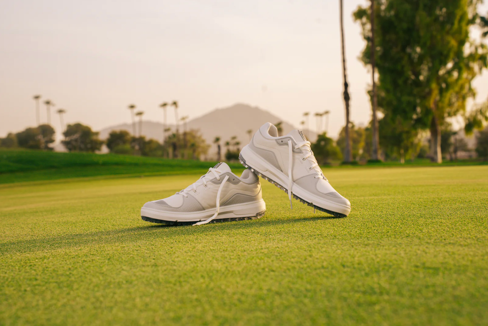 PAYNTR Golf Sport Classic LE