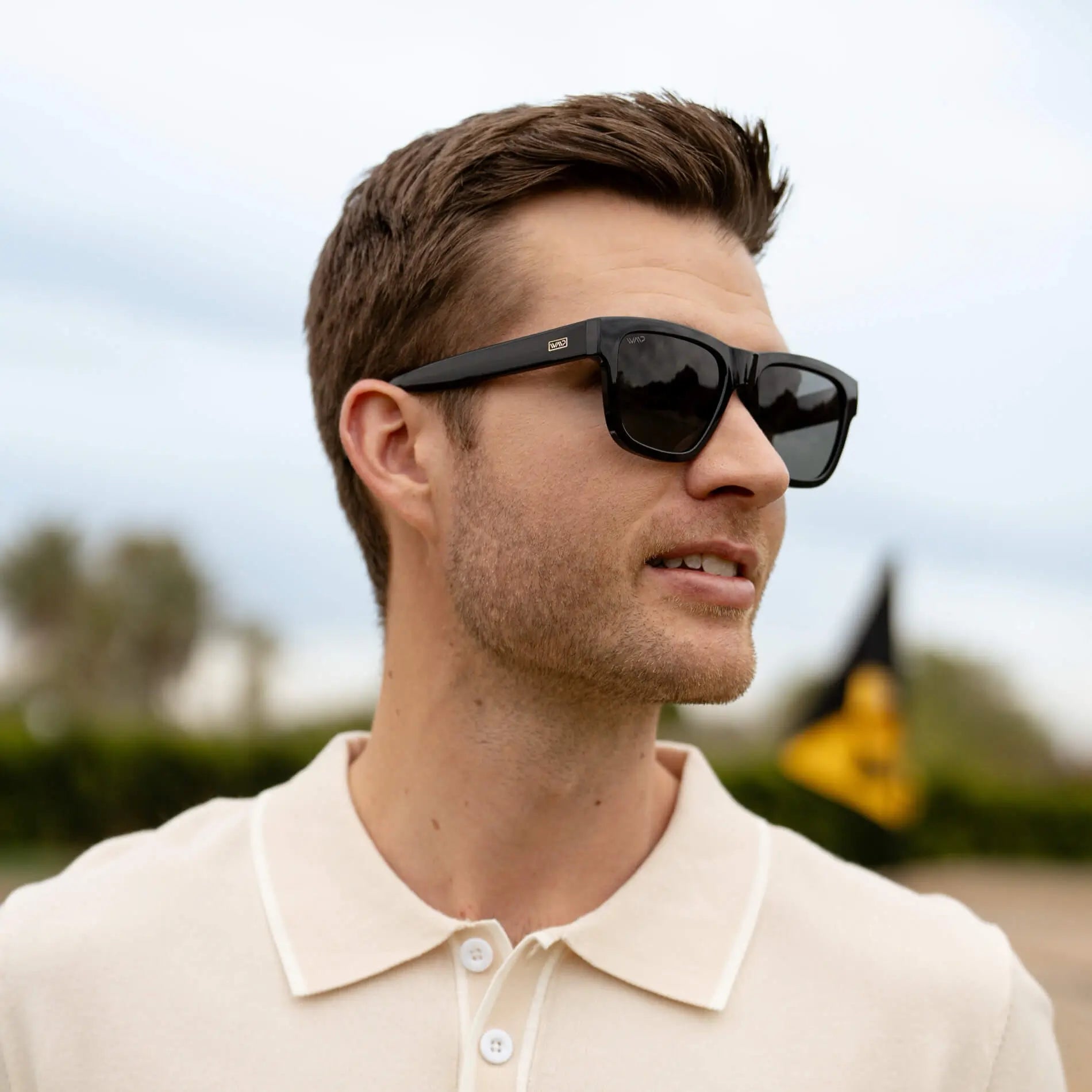 WMP Mens Polarized Link