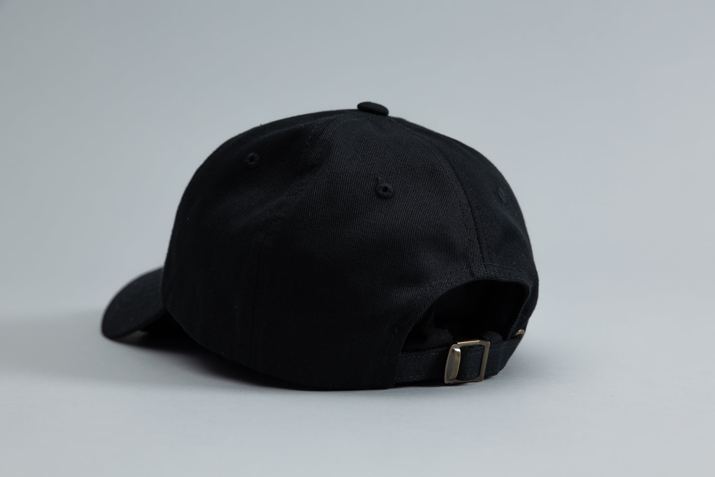 No Lost Balls Dad Hat
